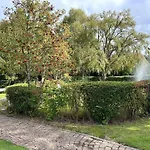 Sky & Homes Sturmmoewe I Reetdach-refugium Mit Parkgarten In Spo Апартаменты *