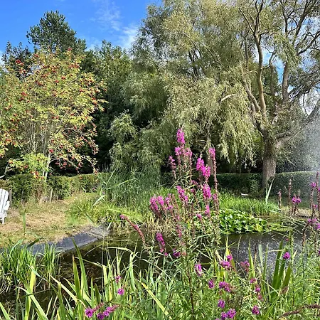 Sky & Homes Sturmmoewe I Reetdach-refugium Mit Parkgarten In Spo *