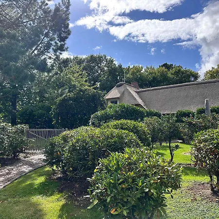 Sky & Homes Sturmmoewe I Reetdach-refugium Mit Parkgarten In Spo